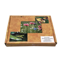 Коллекция Развитие насекомых с неполным превращением EFez3DX0iPmA8dsgAxl1I0