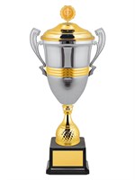 Кубки престижные 025895
