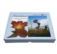 Гербарий Ядовитые растения (20 видов) ic2PypmZhEvFsJJJadRSO3