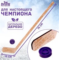 Клюшка из дерева с шайбой «Только вперёд!» 0281429