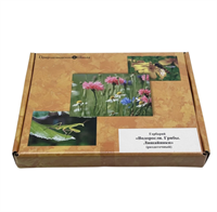 Гербарий Водоросли. Грибы. Лишайники (раздаточный) IS-jYWg6gFEtzw2JVJnDy2