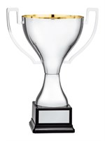 Кубок престижный 025888
