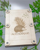 Пресс для гербария А4 WbYeV40iiTmMmw2sDvAGt0