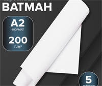 Набор ватманов чертёжных А2, 200 г/м², 5 листов iNjCvqhWiMS2pPs8PsCNN2