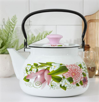 Чайник - 3л эмалированный 0281957