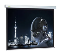 Экран Cactus Wallscreen CS-PSW 0283096145