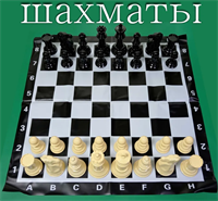 Шахматы напольные большие парковые "Маленькие великаны" с полем 90*90 см и высотой короля 20,6 см. 02829125