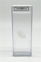 Влажный препарат Сцифомедуза 2h549yFyh0iigLj4IGFEY3