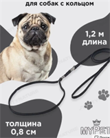 Ринговка для собак поводок удавка для выставки и груминга JJj2tQzLgsrNQcIvCCjBX3