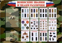 Стенд Воинские звания и знаки различия 1000 х 700 пластик 3мм, карман А4-1шт., карман А5-1шт. 25671