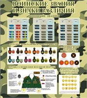 Стенд Воинские звания и знаки различия 800 х 900 пластик 3 мм 2575