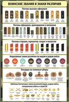 Стенд Воинские звания и знаки различия Вооруженных сил РФ 800 х 1200 пластик 3мм 2574