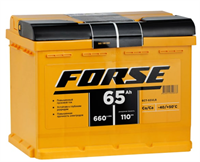 Аккумуляторная батарея FORSE 02829921