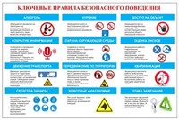 Стенд Ключевые правила безопасности поведения размер 600 х 900 пластик 3 мм 2385