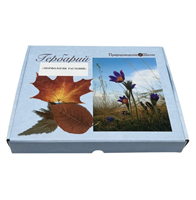 Гербарий Морфология растений (5 тем х 3 листа) ptHQYs6kjBXmSf5ALGCbS0