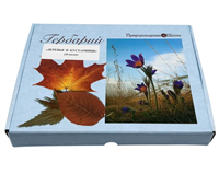 Гербарий Деревья и кустарники (20 видов) vNq8DpwdhlLhsppLajR3a0