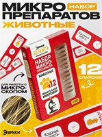 Набор для опытов «Набор микропрепаратов», животные 0283096600144