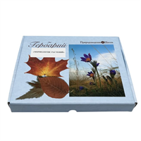 Гербарий Морфология растений (5 тем х 3 листа) g7QR8xjhh2Ic4dgzW5x8l1