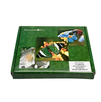 Коллекция Развитие насекомых с полным превращением c5hzzTd7h5LwhLDtEy2Fs1