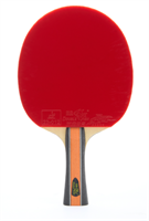 Ракетка для настольного тенниса DOUBLE FISH J9, с чехлом thoX2YTsgOYcrPPwm7BoV3