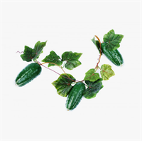 Ветка муляжей 