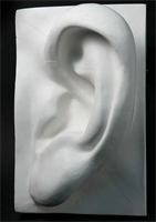 Гипсовая модель 