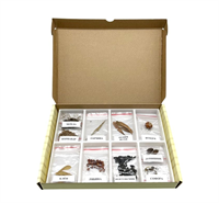 Коллекция Семена и плоды (с раздаточным материалом) QnzLx-ALgxTtiwwahtqrC1