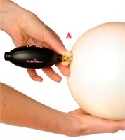 Насос Pastorelli для мячей 027147