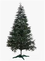 Ель Альпийская 210 0283096159