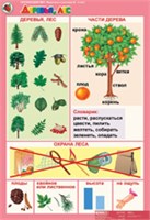 5-6 лет. Животные и растения 02830384