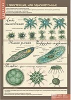 БИОЛОГИЯ 7 кл. Животные. 02830603