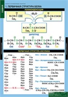 Белки и нуклеиновые кислоты (Комплект таблиц 8 шт. Химия) 2-080-490 OiTN2L1yhVcbcc67azfbT1