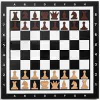 Время игры Демонстрационные шахматы 60 х 60 см "Время игры" на магнитной доске, 32 шт. 0282265