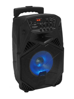 Портативная аудиосистема National NSM-V100, черный 02830964101