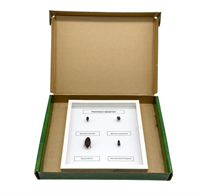 Коллекция Насекомые вредители DZ0h9QSMghnBkH6EG5FuU2