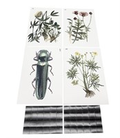 Модель-аппликация Основные направления эволюции 0283096599734