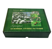 Гербарий Основные группы растений (52 листа) Ihen0DBqgInhrwPNMuRX11