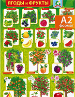 Плакат настенный, ягоды и фрукты, формат: А2 0283095608
