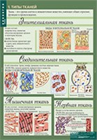 БИОЛОГИЯ 8-9 кл. Человек. 02830604