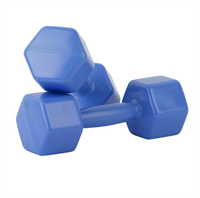 Гантели пластмассовые 1,1 кг, 2 штуки, пустые 026112