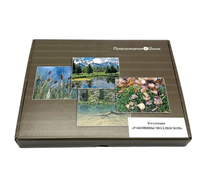 Коллекция Раковины моллюсков hYdYiRnahCQHcCnlfE4KM1