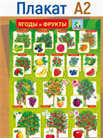 Плакат настенный, ягоды и фрукты, формат: А2 tT-P73WogfRxrgpyH7KzI1