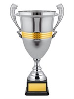 Кубок престижный 025896