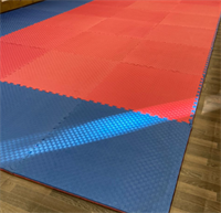 Ласточкин - хвост ( Будо - мат)  2.5 см 0282767