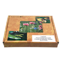 Гербарий Систематика растений. Семейство Бобовые. Злаки (раздаточный) E1URD3pwiFHGs1ucPPPLP2