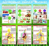 Стенд Здоровый образ жизни размер 800 х 750 пластик 3 мм ЗОЖ3