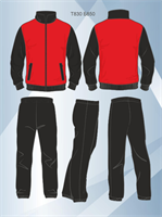 Костюм спортивный р. 44-46 N5-29ypEjJkP6x8PVmNAK2