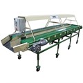 Конвейер роликовый инспекционный КРИ-10 (3240х1370х1800, 1,1кВт, 10т/ч) Конвейер роликовый и - фото 115697 Конвейер роликовый инспекционный КРИ-10 (3240х1370х1800, 1,1кВт, 10т/ч) Конвейер роликовый и - фото 115697