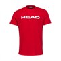 Футболка мужская HEAD Club Ivan T-Shirt 59538 - фото 1391486