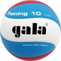 Мяч волейбольный GALA Training 10, размер 5 38193 - фото 1391843